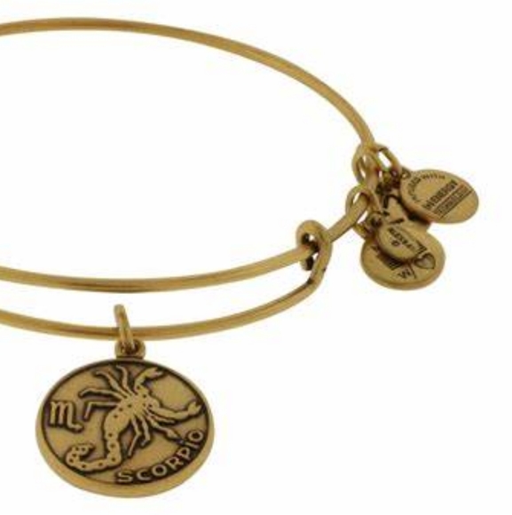 Alex and Ani Scorpio Zodiac Bracelet - Picture 3 of 9